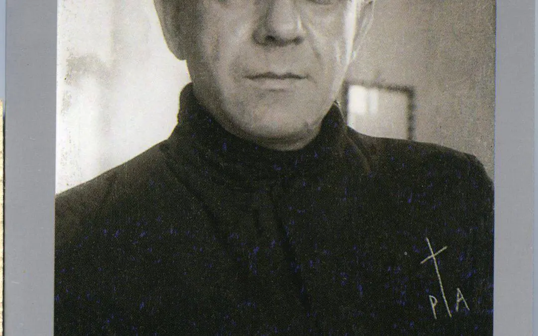 Alle radici