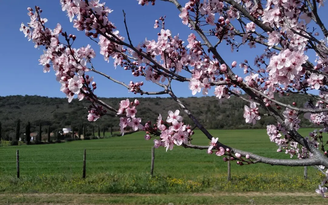 E la vita continua…